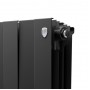 Дизайн-радиатор бимет. Royal Thermo PianoForte Noir Sable 500 x 100 - 10 секц.